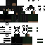 skin for wnerookou