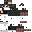 skin for xd