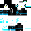 skin for Zenguin