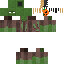 skin for Zombieareumadlol original