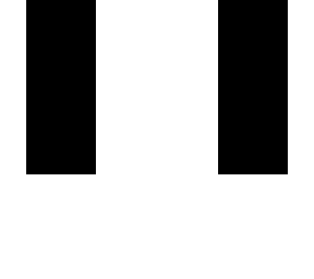 Black and white skin base