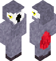 Grey parrot