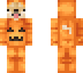 Pumpkin Doggo