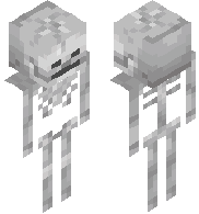 Skeleton 