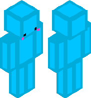 skinchek