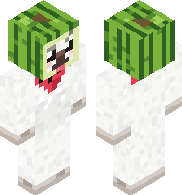 Watermelon dog